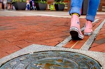 Freedom Trail Boston Guided Walking Tour (SMALL GROUP)