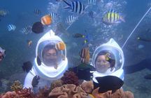 Bali Marine 3 Private Activities with Hotel Pick up
