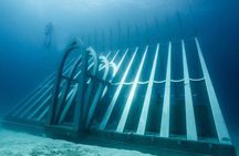 Great Barrier Reef and MOUA Cruise from Townsville or Magnetic Island