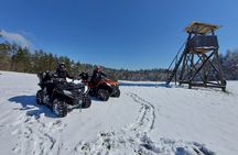 Quad adventure