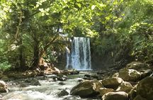 Explore The Wild South