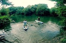 Scenic Paddleboarding Adventure: Nové Mlýny to Lednice