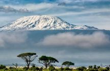 7 Days Kilimanjaro via Machame route affordable price