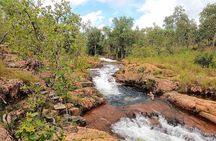 ETHICAL ADVENTURES - 1 Day premium Litchfield tour, Max 10 guests