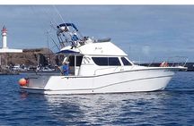 Dolphin Searching Tour in Puerto de Mogán ("EXPLORER" Boat)