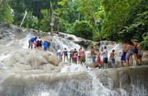 Private Dunn's River Falls Adventure from Montego Bay