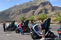 4 Hours Eco Safari Tour with Electric Car in Tenerife