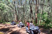 Tour in 4x4 ATVs inside the Dunes of Chachalacas, Veracruz