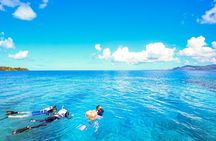 Half-Day Snorkeling Experience in the Kerama Islands from Naha