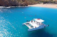 #1 Snorkeling Tour in Catamaran. Open bar & Snacks included