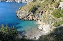 Sorrento Peninsula: Guided Trekking Tour with Views