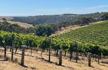 Private Mclaren Vale Wine Tour 