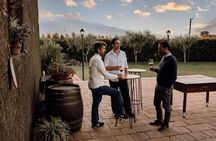Etna Urban Winery - Sunset vineyard Walk and Tasting Dinner