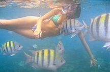 Set Sail in Aruba: Jolly Pirate Cruise with Snorkel Adventure