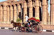 Private Sound and Light Show and Luxor City Tour by Carriage (3 * 1)