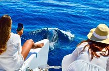 Snorkeling Catamaran Tour at Santa Maria Bay