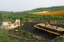 Private Wine and Food Tasting Immersed in Nature in Milo