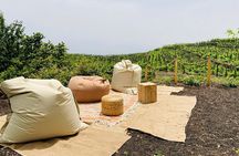 Private Wine and Food Tasting Immersed in Nature in Milo