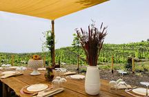 Private Wine and Food Tasting Immersed in Nature in Milo