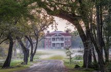 Drayton Hall Admission Ticket with Interpreter-Guided Tour