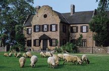 Private Chauffeur & Admission to Middleton & Magnolia Plantation + Box Lunch