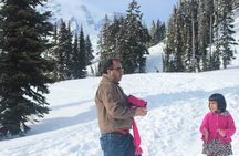 Small-group Mt. St. Helen National Park Tour from Seattle in SUV