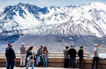 Small-group Mt. St. Helen National Park Tour from Seattle in SUV