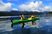 Full day Guided Sea Kayak Tour from Picton