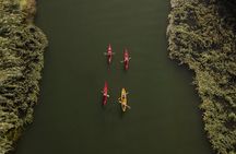 Guided Kayak Tour to Gracia Island