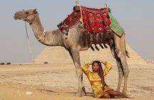 Full day tour Giza pyramids , Memphis, Saqqara