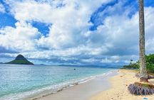 Oahu Island Experience feat the North Shore (Small Group Tour)