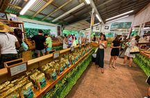 Oahu Island Experience feat the North Shore (Small Group Tour)