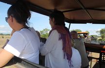 2-Day Private Mikumi National Park Tour with Pickup