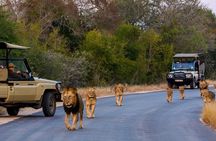 Kruger National Park. 2 Days Best Ever Safari from Cape Town
