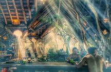 Day at Xplor Park! Ziplines and Jungle Activities from Cancun