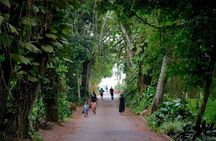 Aburi Botanic Gardens and Boti Falls Full-Day Private Tour