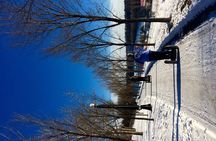1-Hour Edmonton River Valley Segway Tour