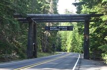 Full-Day Mt Rainier National Park Private Tour in SUV
