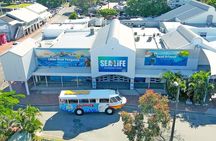Aquaduck Sunshine Coast - 1hr Mooloolaba Amphibious Tour
