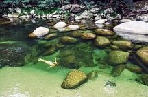 MOSSMAN GORGE TRANSFER between Port Douglas and Mossman Gorge (return)