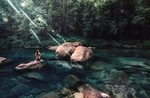 MOSSMAN GORGE TRANSFER between Port Douglas and Mossman Gorge (return)