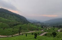 4 Nights Private Tour Cochin/Munnar/Thekkady/Houseboat-Sanguine 