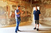 Easy Hercunaleum - Private tour (skip-the-line)