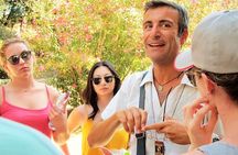 Pompeii private tour with an Official Guide