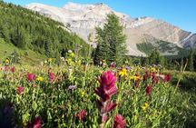 Exclusive Skoki Backcountry Guided Hiking in Lake Louise with Van Shuttle