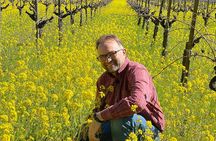 Wine Tour Pros - Napa Wine Tour: SUV Up To 6 Guests