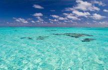 Saona Island Full-Day Excursion