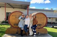 Private Hunter Valley Wine Tour From Sydney includes Corkage