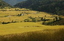 Darjeeling Sikkim Eco Village Tour