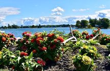 Boldt Castle and 2 Nation Tour